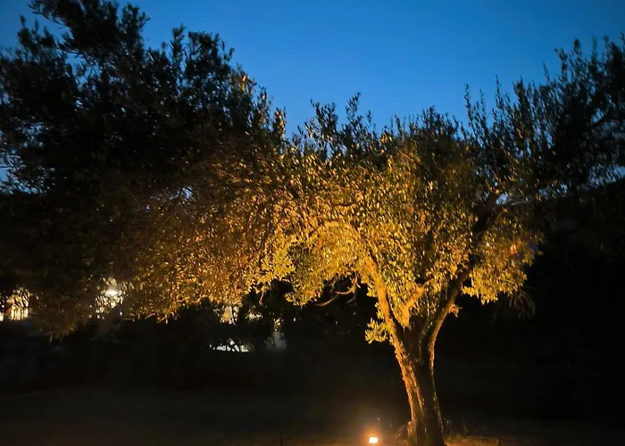 Appartement Seaside House