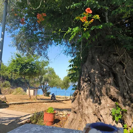 Διαμέρισμα Seaside House