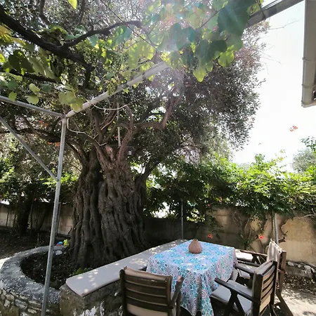 Daire Seaside House Koinira