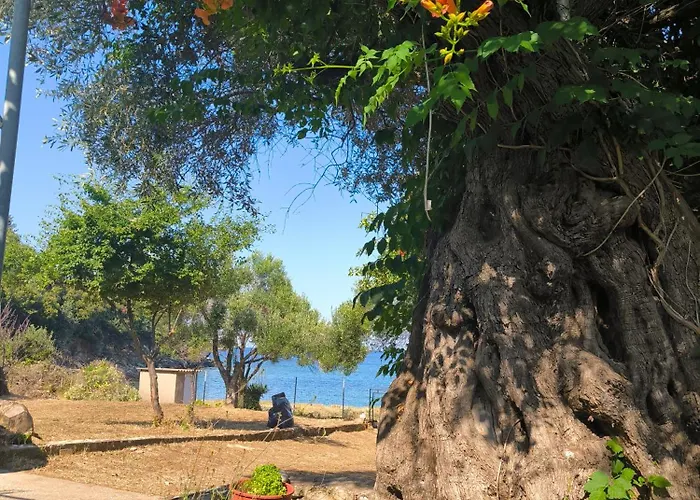 Διαμέρισμα Seaside House