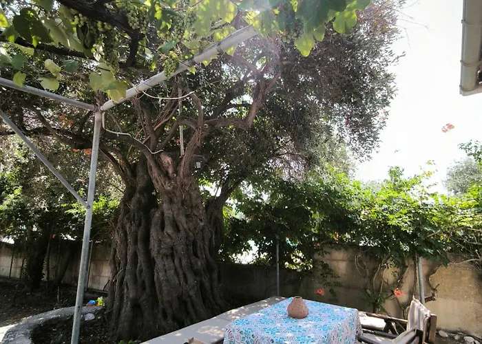 Διαμέρισμα Seaside House Κοίνυρα